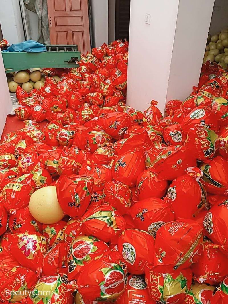 【畅销】蜜柚红心柚，白心柚大量上市基地直发，果大肉嫩