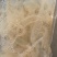 即食海蜇，七星花丝，厂家直销，支持一件代发