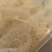 即食海蜇，七星花丝，厂家直销，支持一件代发