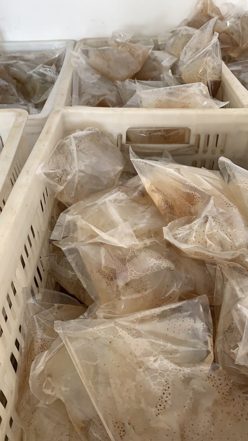 即食海蜇，七星花丝，厂家直销，支持一件代发