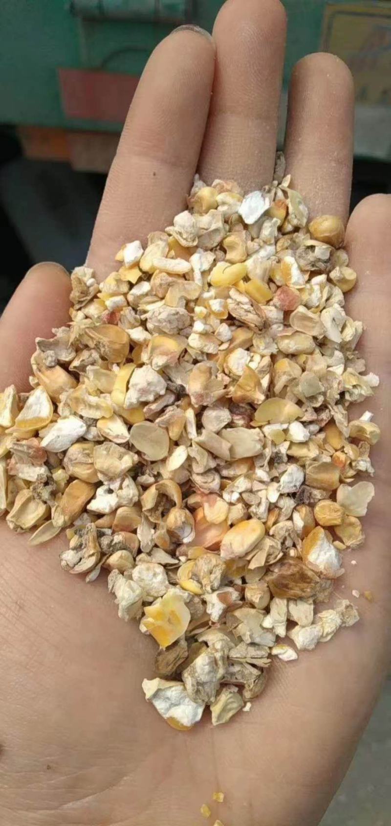供应碎玉米鸡鸭鹅猪牛羊养殖饲料免费拿样质量保证