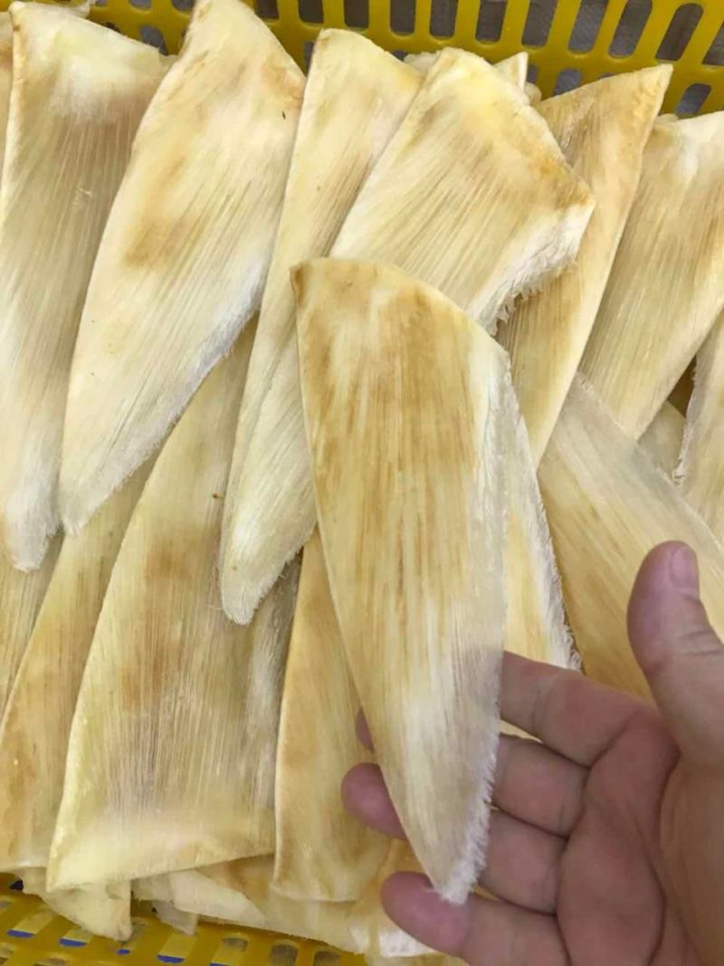 鱼翅茶勾金勾鱼翅捞饭海味滋补干货翅针多口感好营养丰富