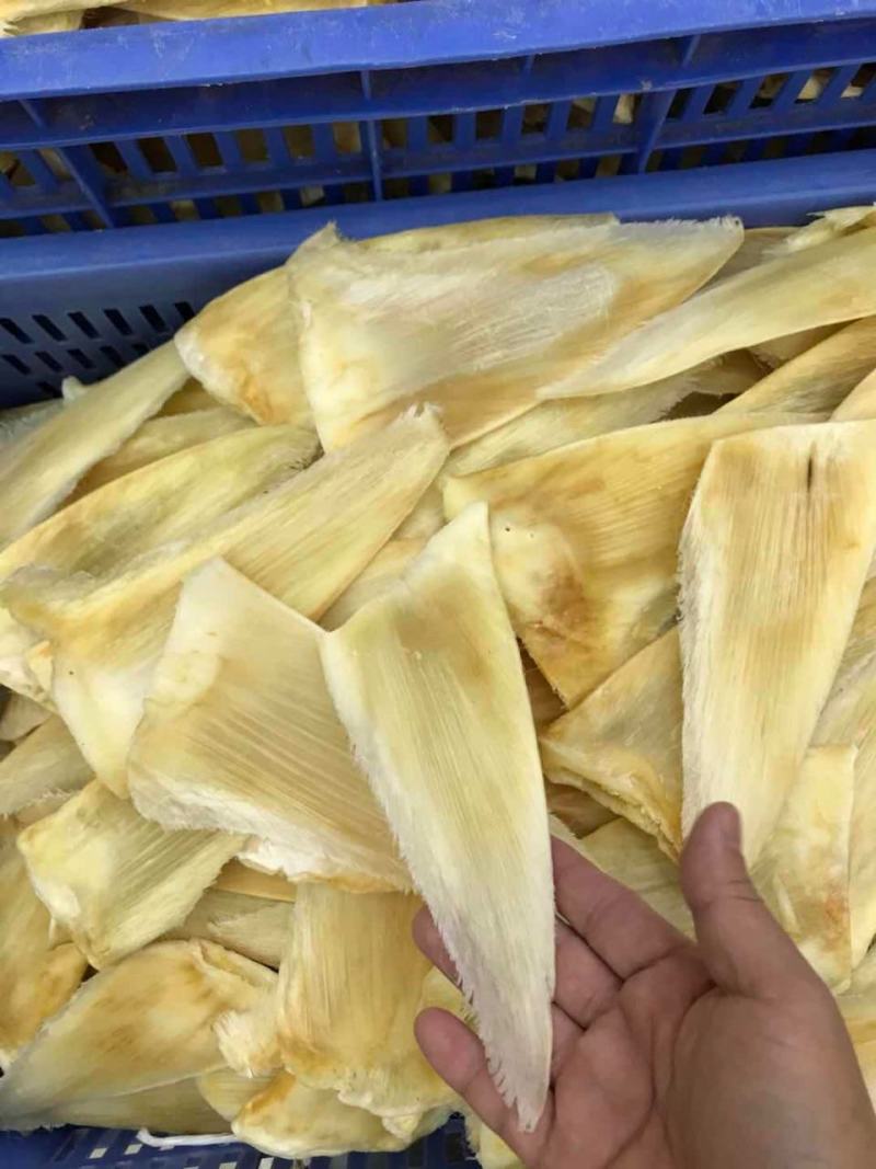 鱼翅茶勾金勾鱼翅捞饭海味滋补干货翅针多口感好营养丰富