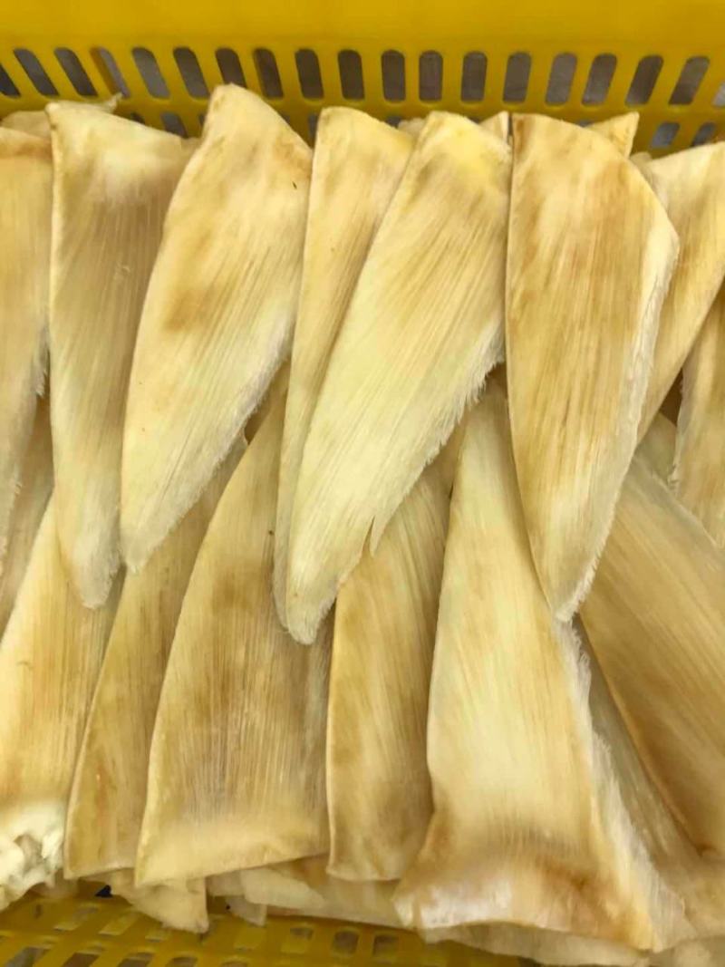 鱼翅茶勾金勾鱼翅捞饭海味滋补干货翅针多口感好营养丰富