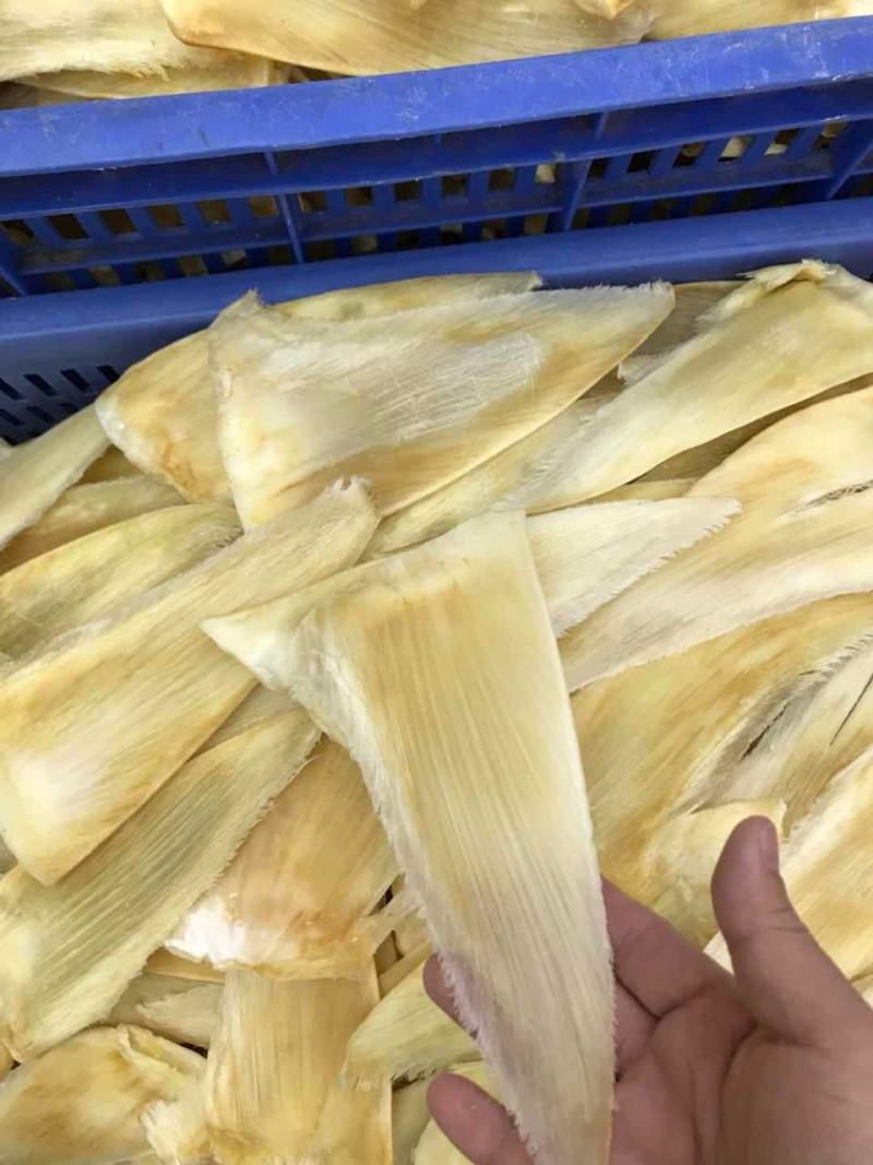 鱼翅茶勾金勾鱼翅捞饭海味滋补干货翅针多口感好营养丰富