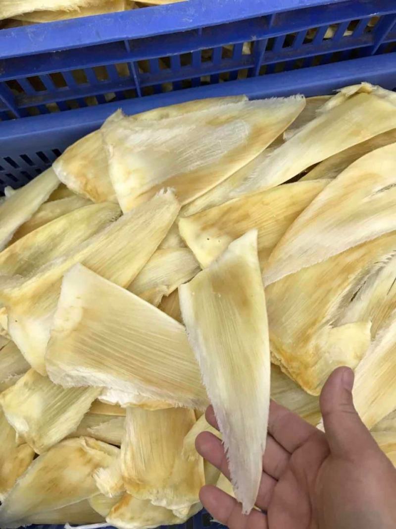 鱼翅茶勾金勾鱼翅捞饭海味滋补干货翅针多口感好营养丰富