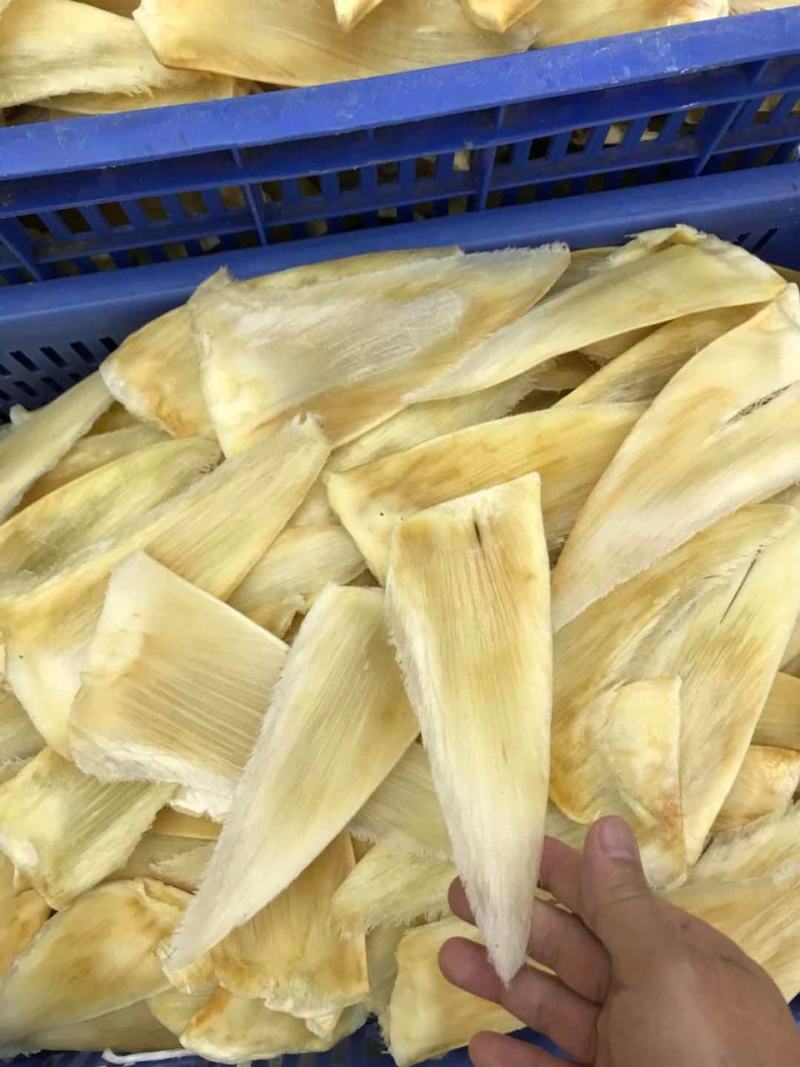 鱼翅茶勾金勾鱼翅捞饭海味滋补干货翅针多口感好营养丰富