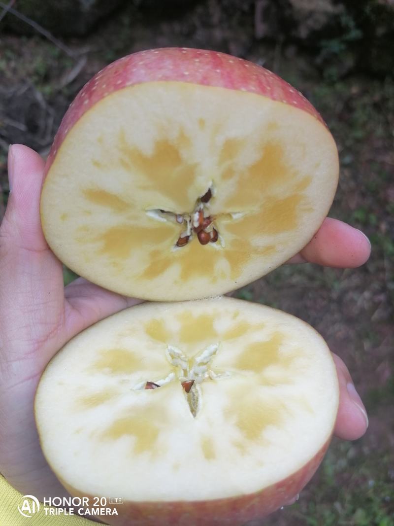 精品【高山糖心丑苹果】红富士对接各大电商团购商超批发市场