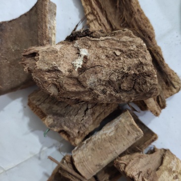 野生土槿皮土荆皮新货大量供应