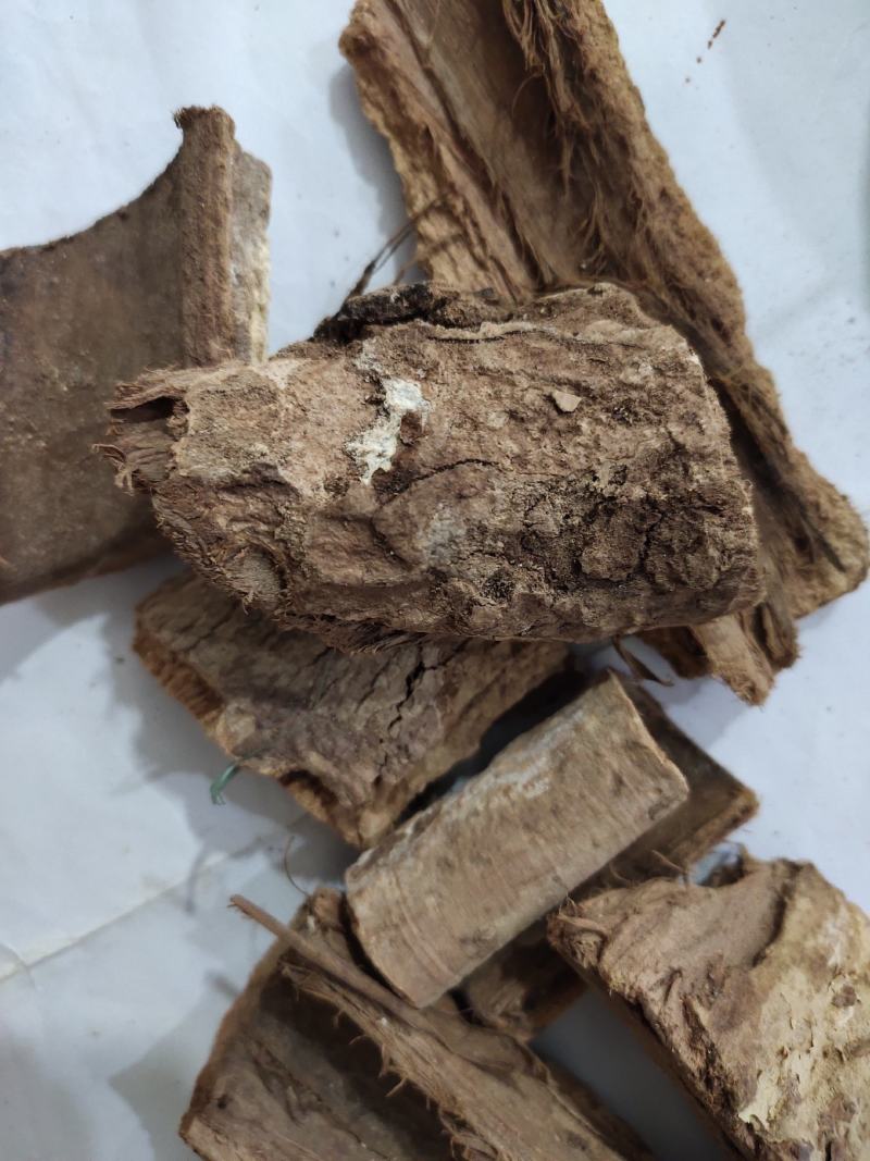 野生土槿皮土荆皮新货大量供应