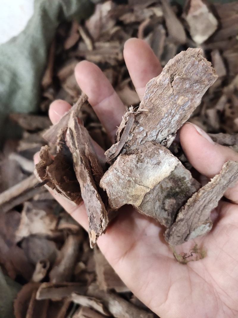 野生土槿皮土荆皮新货大量供应