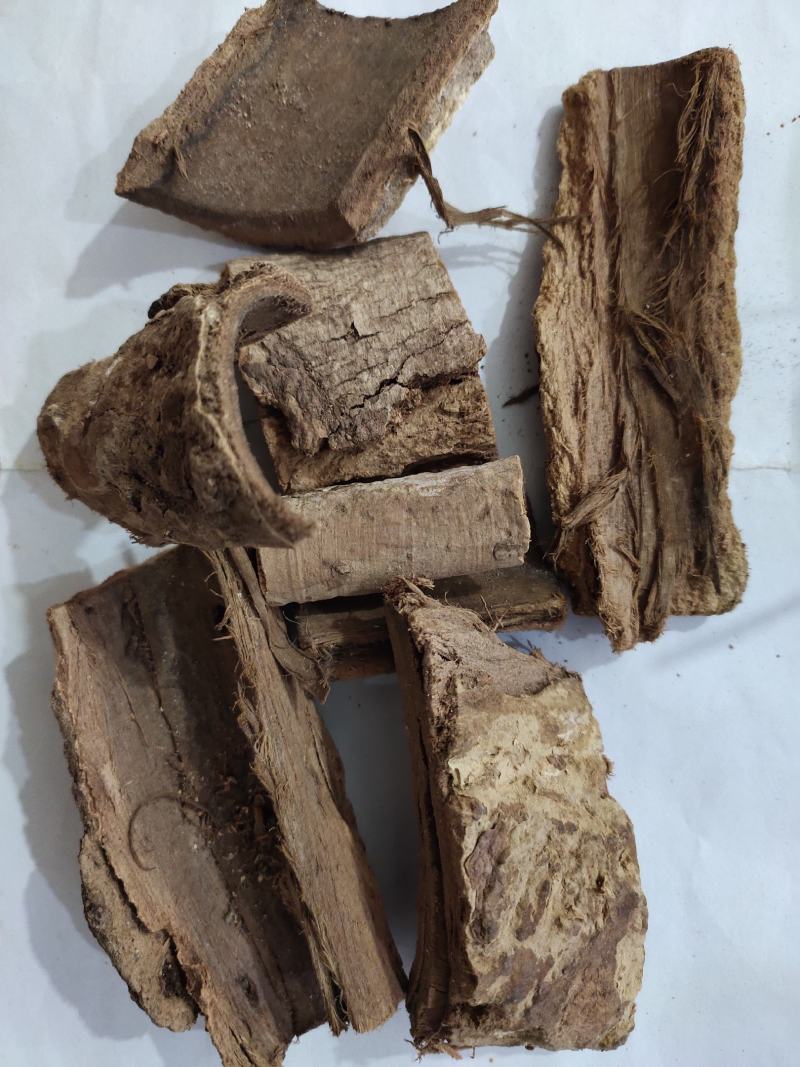 野生土槿皮土荆皮新货大量供应