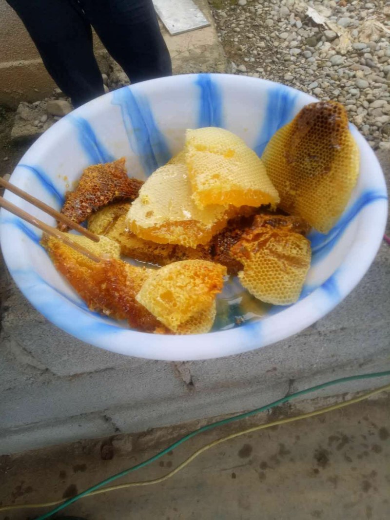 一年割一次的土蜂蜜（包邮）