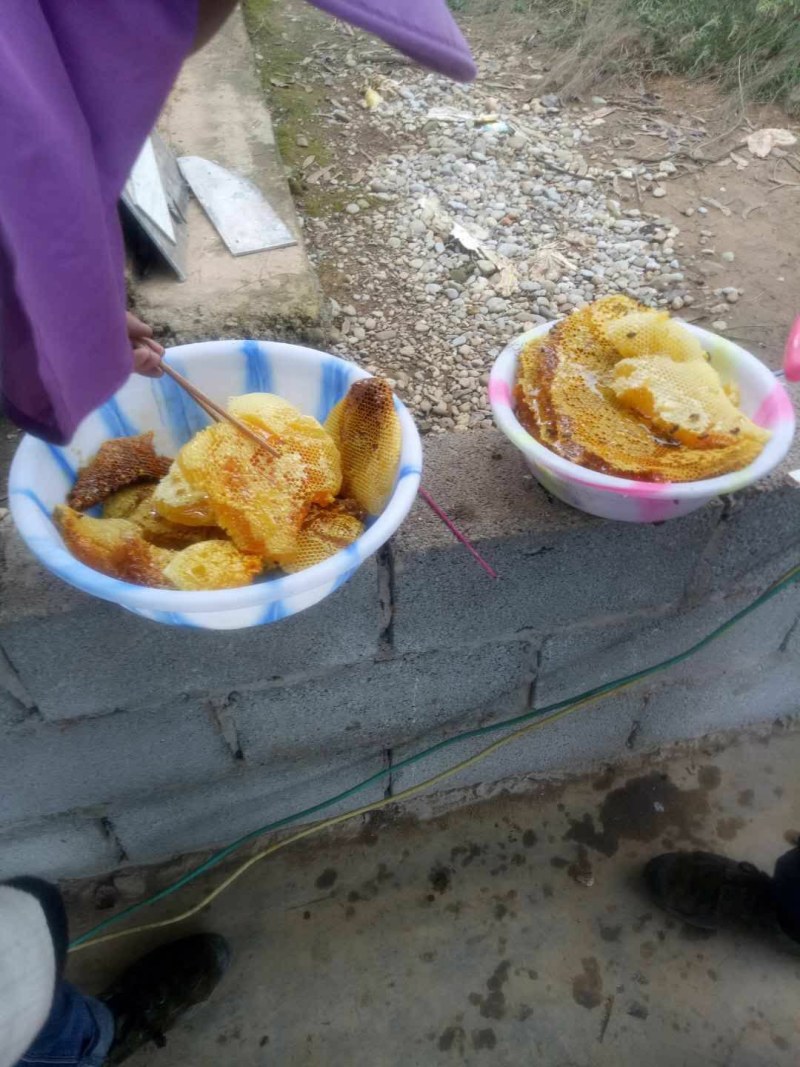 一年割一次的土蜂蜜（包邮）
