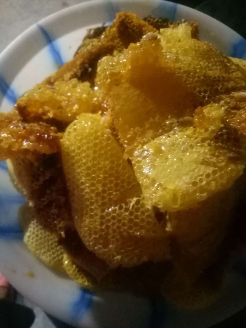 一年割一次的土蜂蜜（包邮）