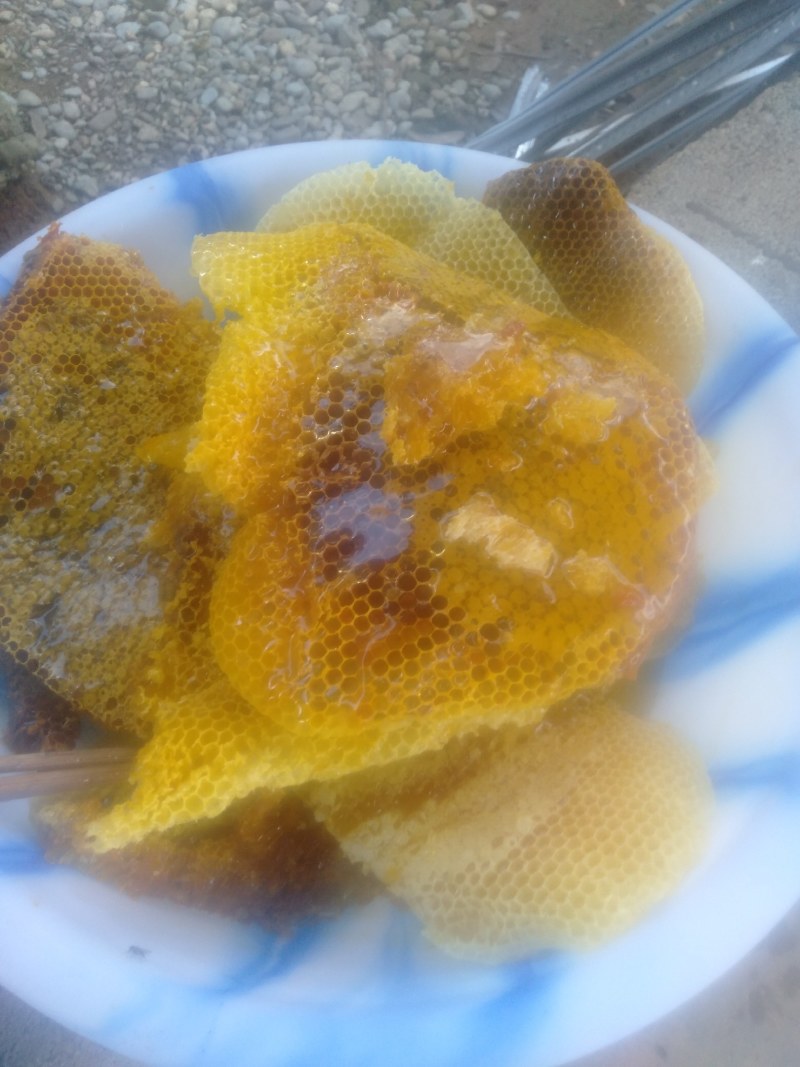 一年割一次的土蜂蜜（包邮）