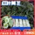 大量莴苣山东郯城红尖叶大量上市单颗斤半左右不空