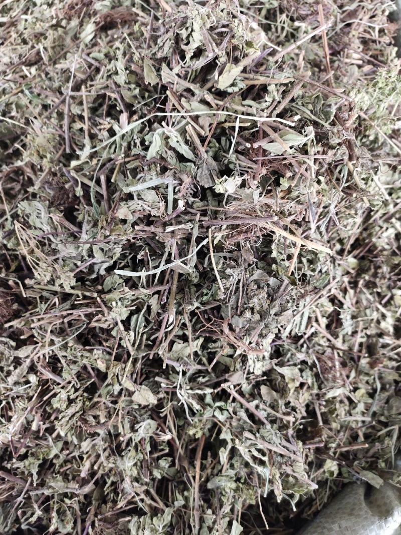 草类土茵陈铃茵陈新货干净无杂质