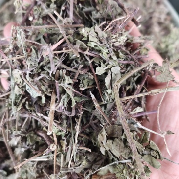 草类土茵陈铃茵陈新货干净无杂质