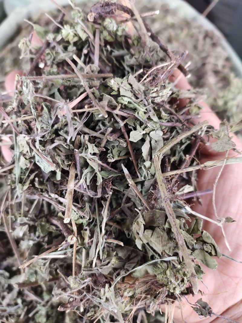 草类土茵陈铃茵陈新货干净无杂质