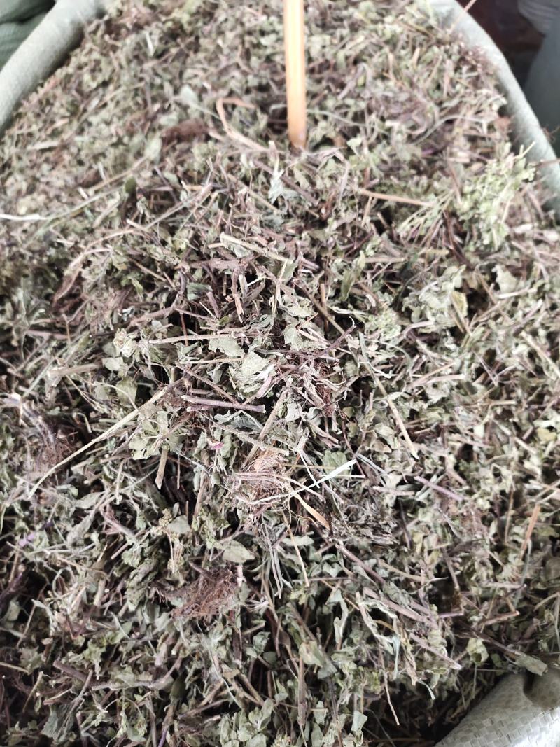 草类土茵陈铃茵陈新货干净无杂质
