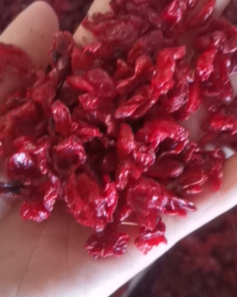 山萸肉大量批发零售可视频看货
