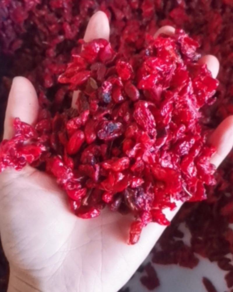 山萸肉大量批发零售可视频看货