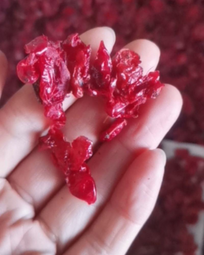 山萸肉大量批发零售可视频看货
