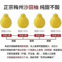 沙田柚市场批发代发整车蜜甜爽口