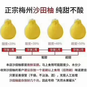 沙田柚市场批发代发整车蜜甜爽口