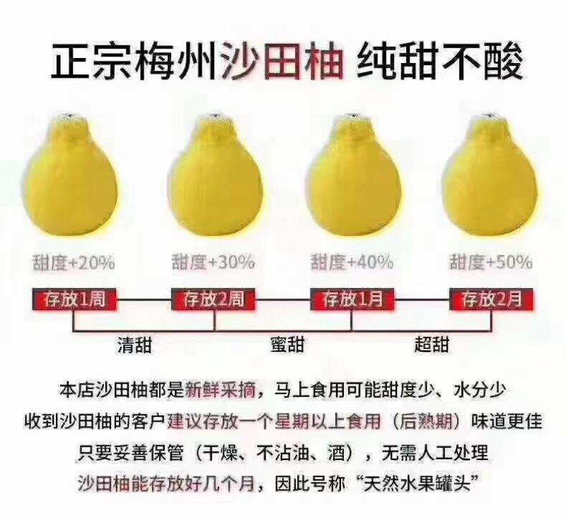 沙田柚市场批发代发整车蜜甜爽口