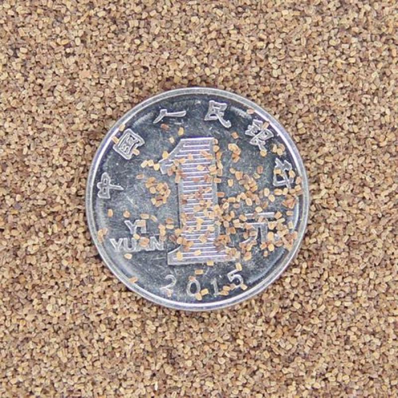 毛地黄种子指顶吊钟花种籽洋地黄耐寒四季易种室内阳台绿植盆