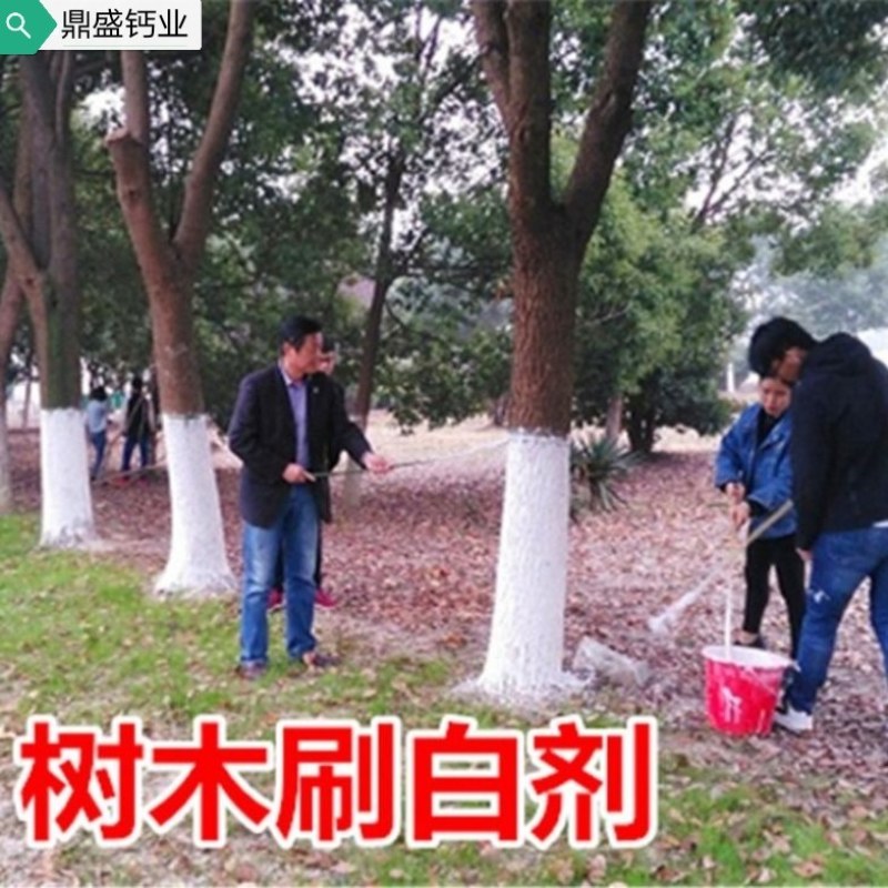 厂家大量供应石灰，石灰粉