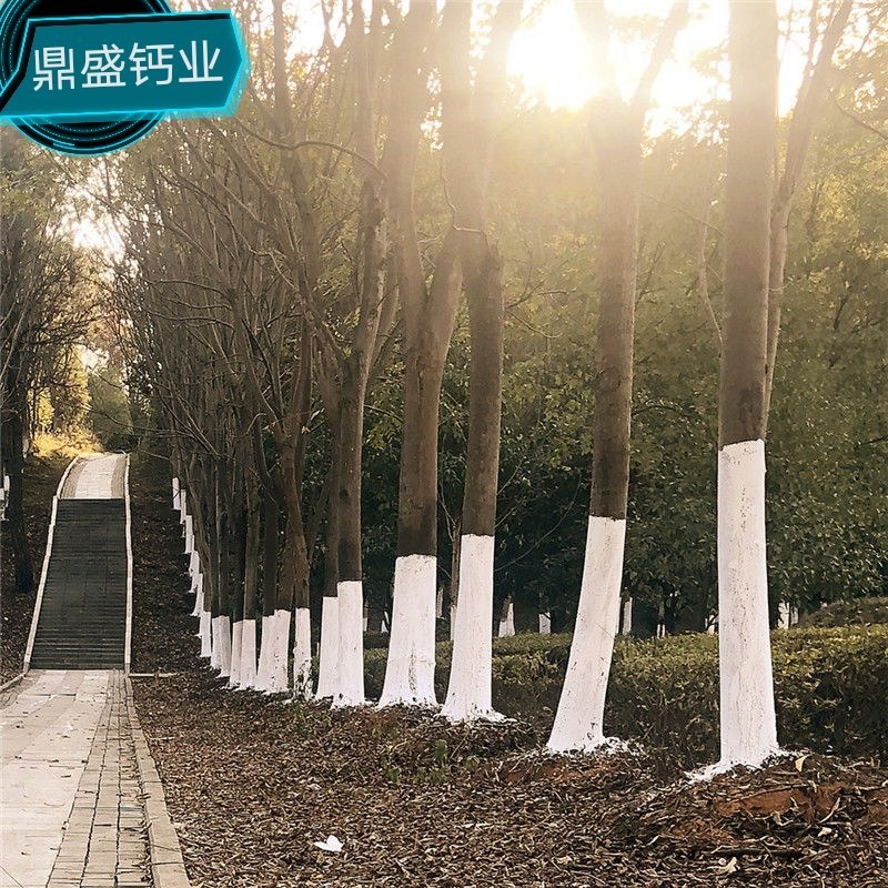 厂家大量供应石灰，石灰粉