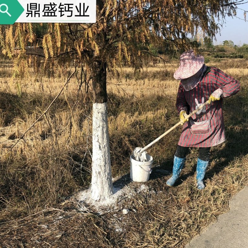 厂家大量供应石灰，石灰粉