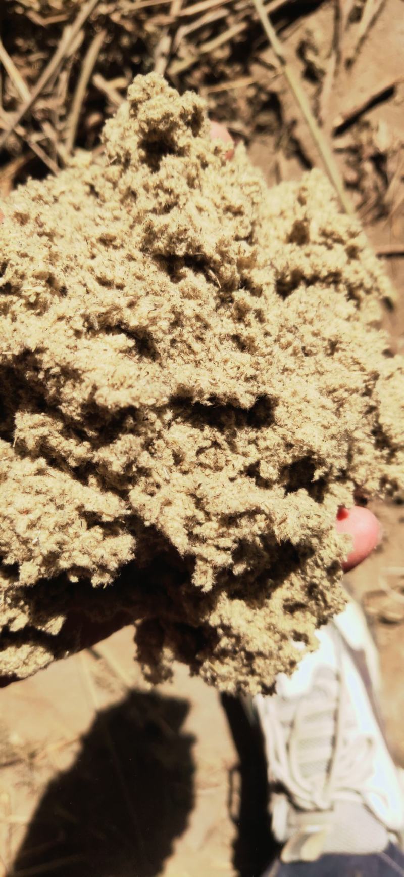 艾绒优质绒胚源头厂家量大从优