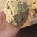 艾绒优质绒胚源头厂家量大从优