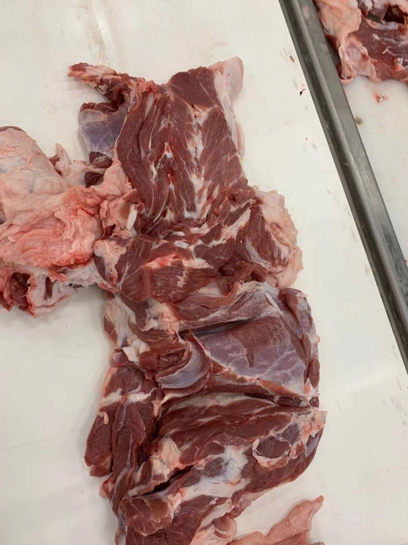 甘肃湖羊卷，中盛羔羊肉，立盘可见，紫花苜蓿饲养！肉质干、
