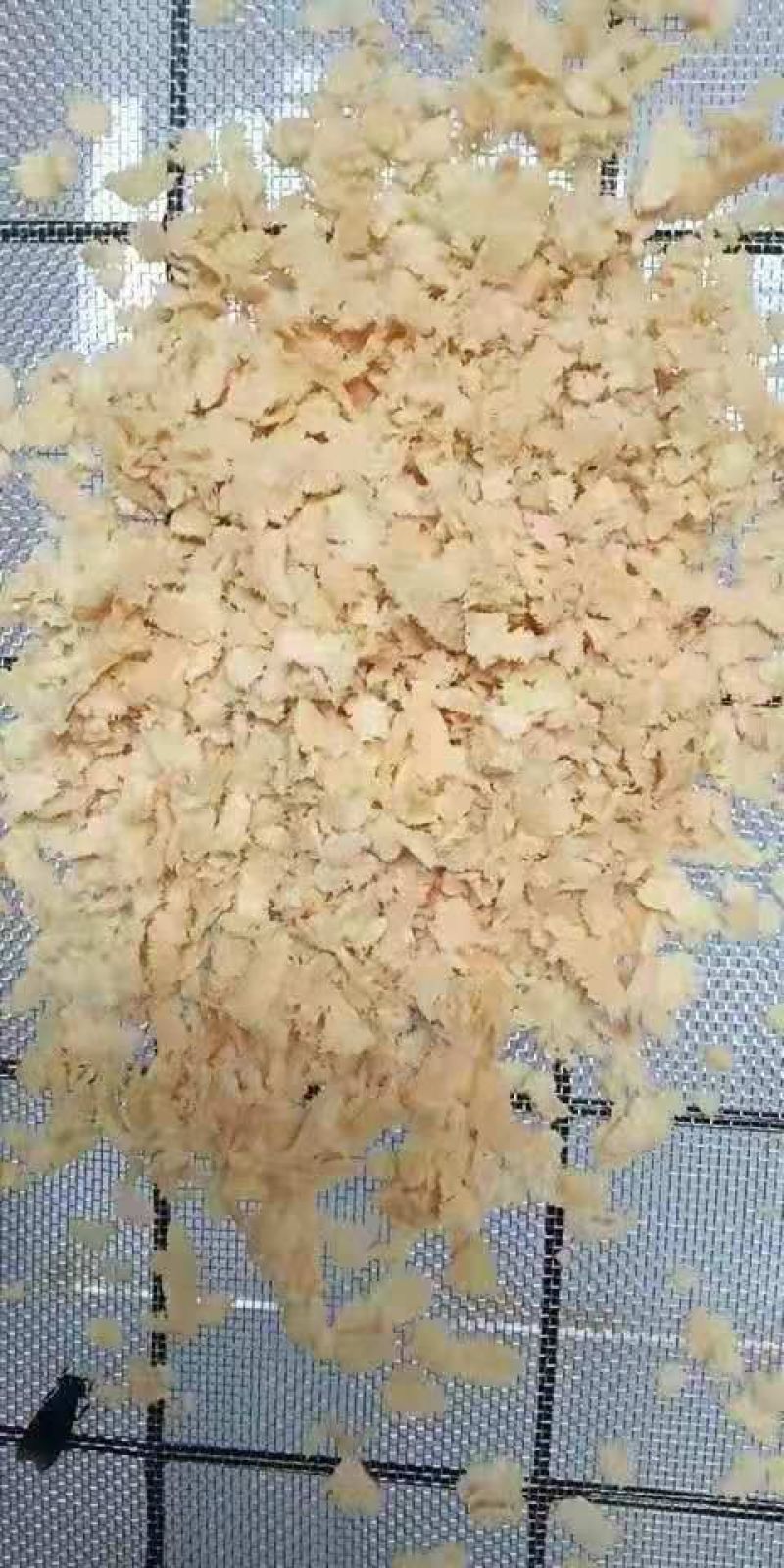 批发黑水虻卵扶持创业千元学技术远程指导