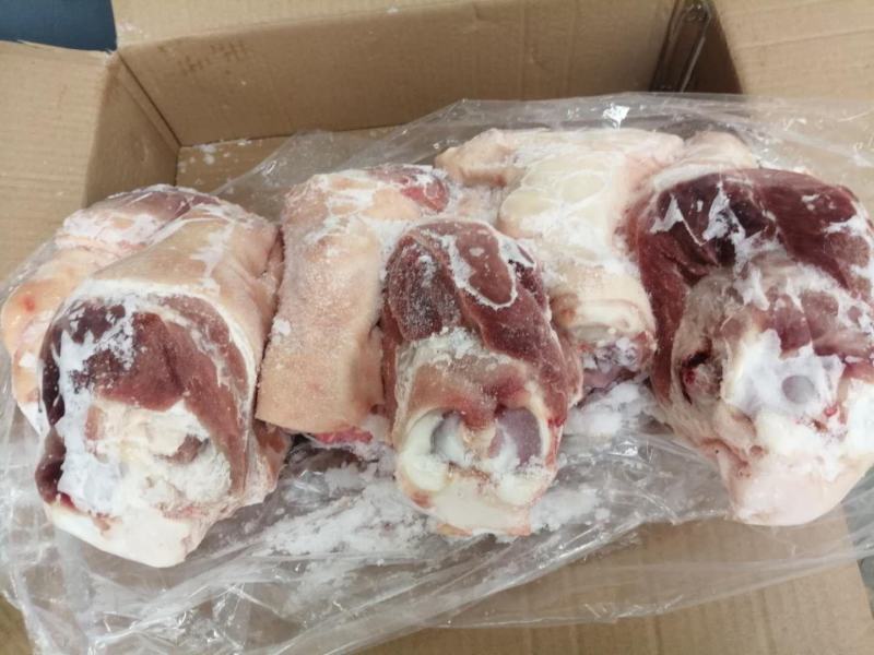 【前肘后肘】大量批发，质优价廉，以质论价，品质保证
