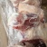 【前肘后肘】大量批发，质优价廉，以质论价，品质保证