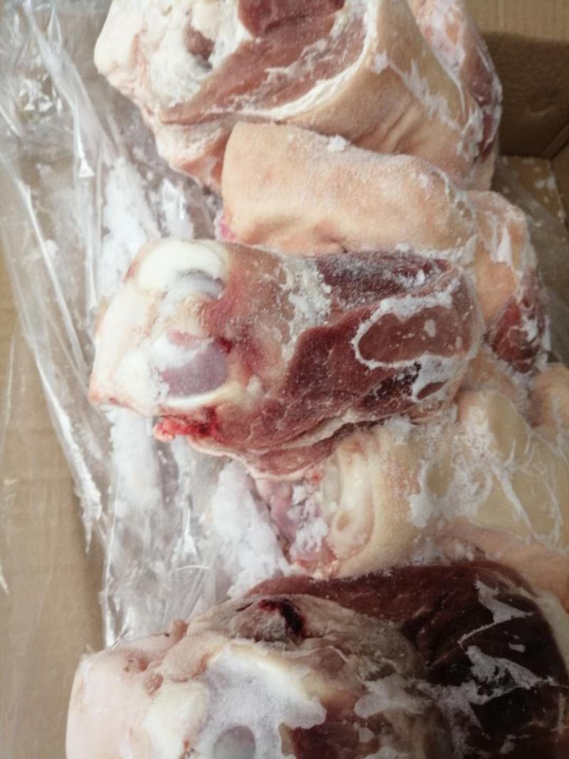 【前肘后肘】大量批发，质优价廉，以质论价，品质保证