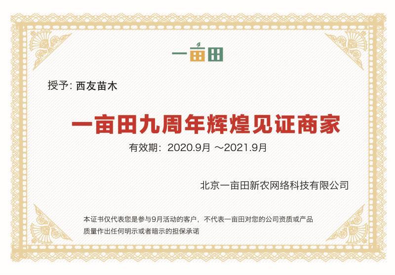 毛桃树苗规格齐全0.8-3公分1-2年苗量大从优
