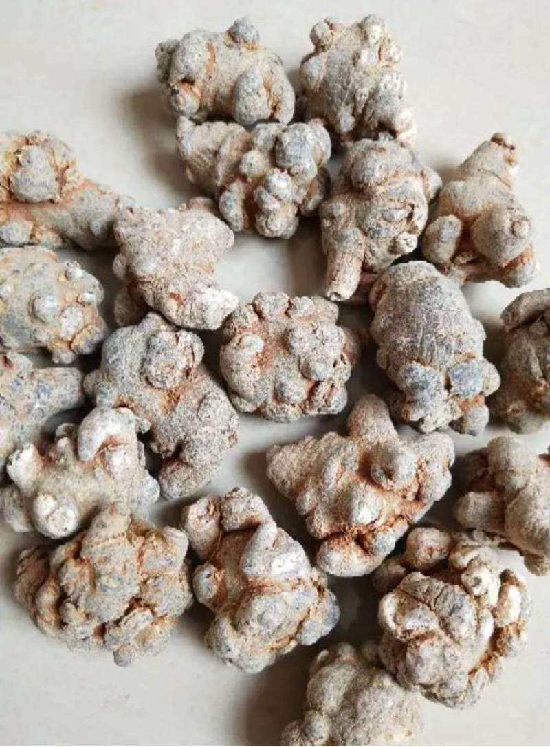 文山三七，正宗文山三七，假一罚万，基地三七。
