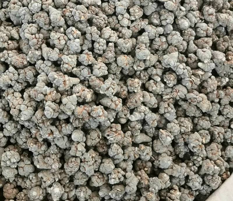 文山三七，正宗文山三七，假一罚万，基地三七。
