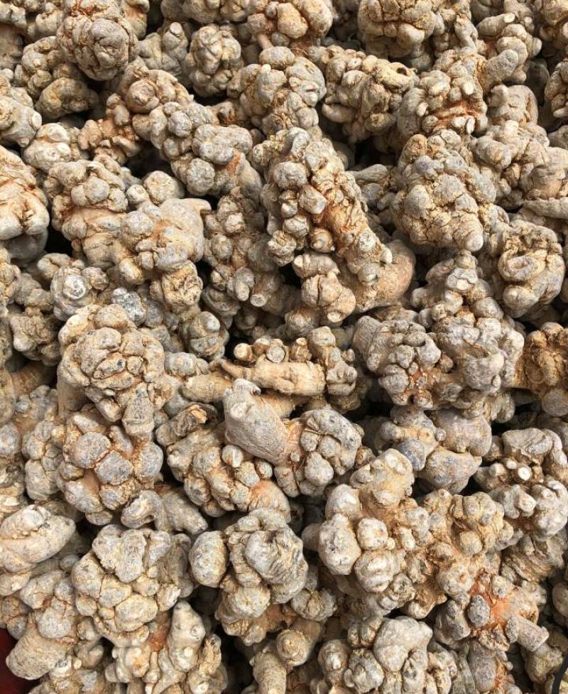 文山三七，正宗文山三七，假一罚万，基地三七。