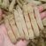 广州人北海沙虫干中号800头干度好肉厚口感佳香味浓
