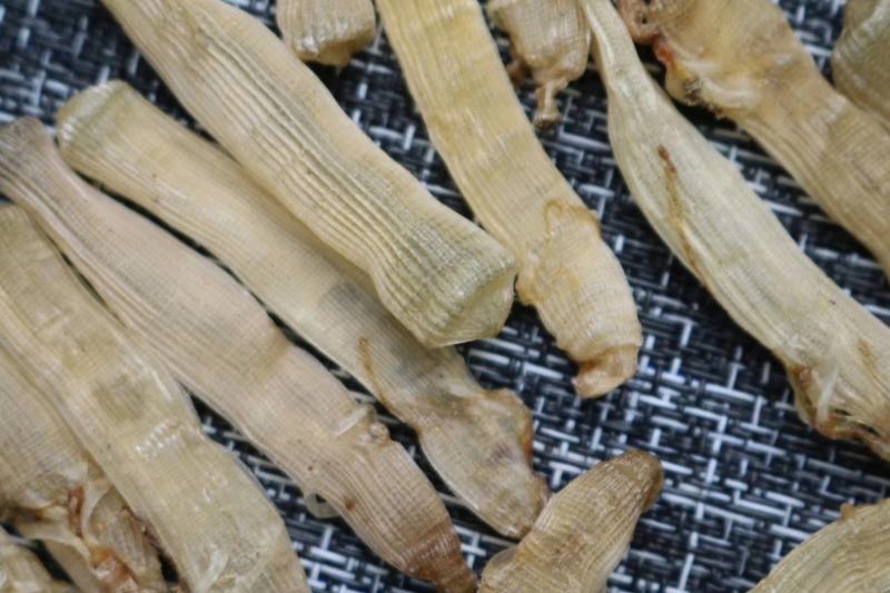 广州人北海沙虫干中号800头干度好肉厚口感佳香味浓