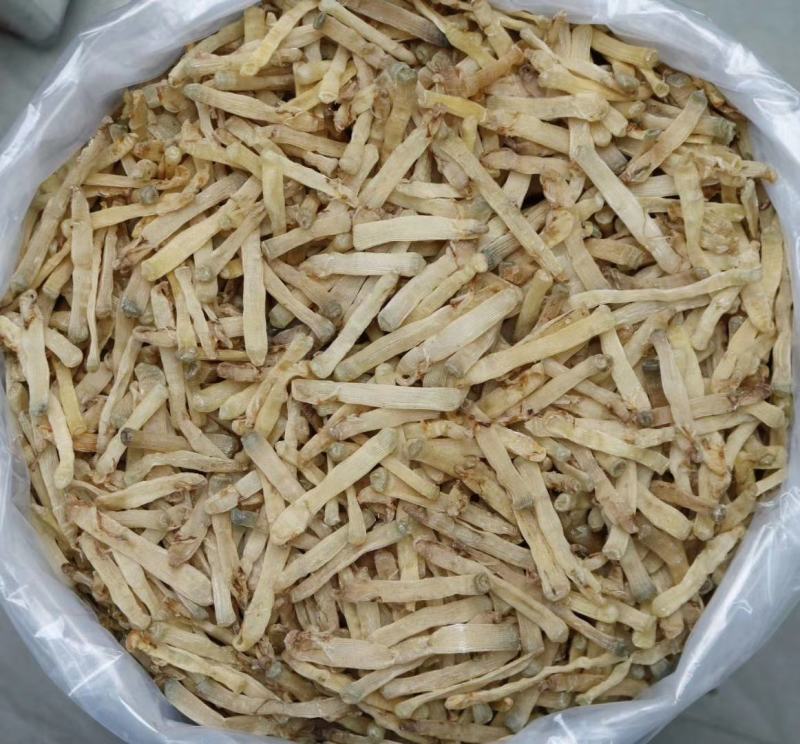 广州人北海沙虫干中号800头干度好肉厚口感佳香味浓