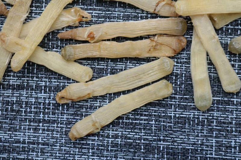 广州人北海沙虫干中号800头干度好肉厚口感佳香味浓